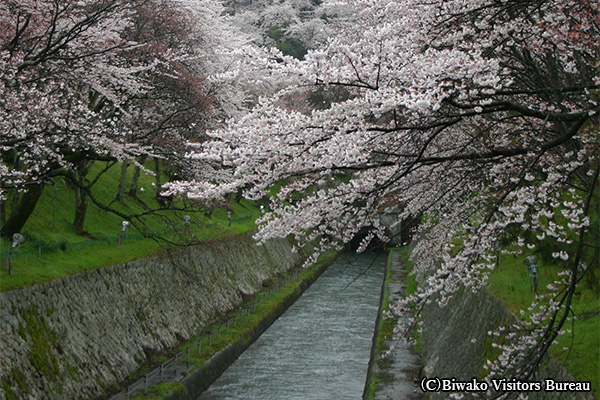 三井寺（園城寺）