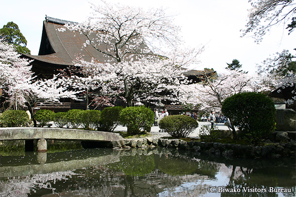 三井寺（園城寺）