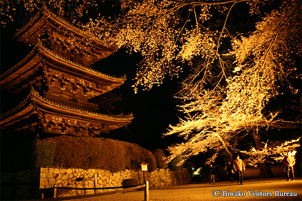 三井寺（園城寺）